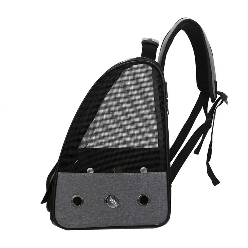 Outdoors Parrot Backpack Porta - đánh giá và giá Luxury Bags Price